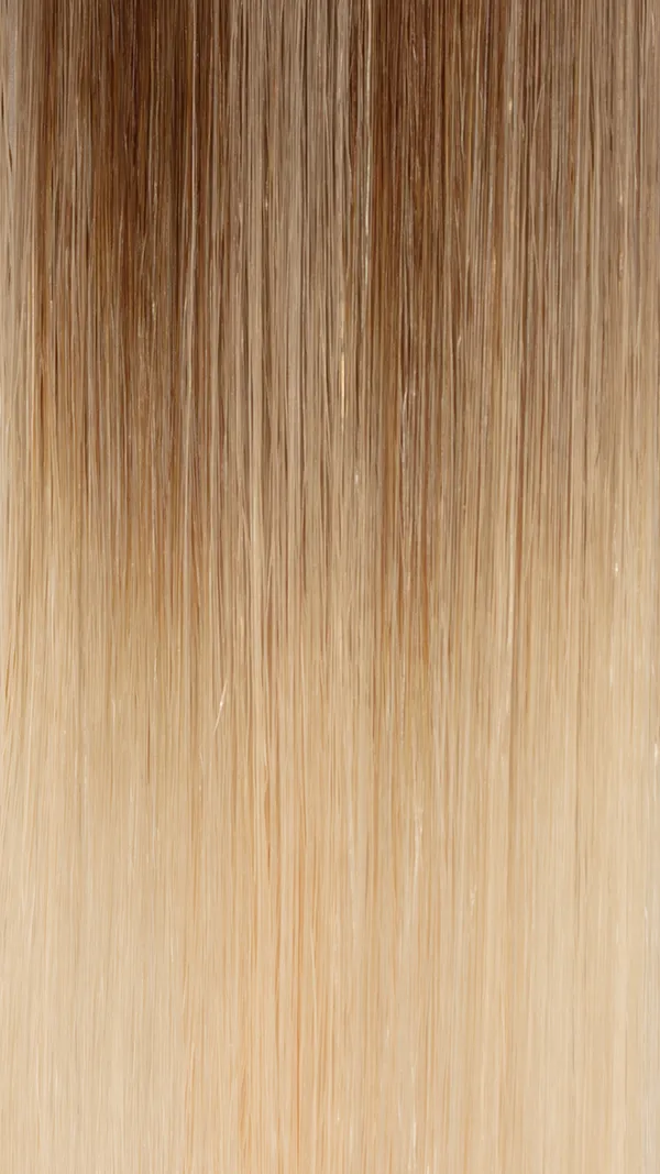 HONEY BLONDE BALAYAGE