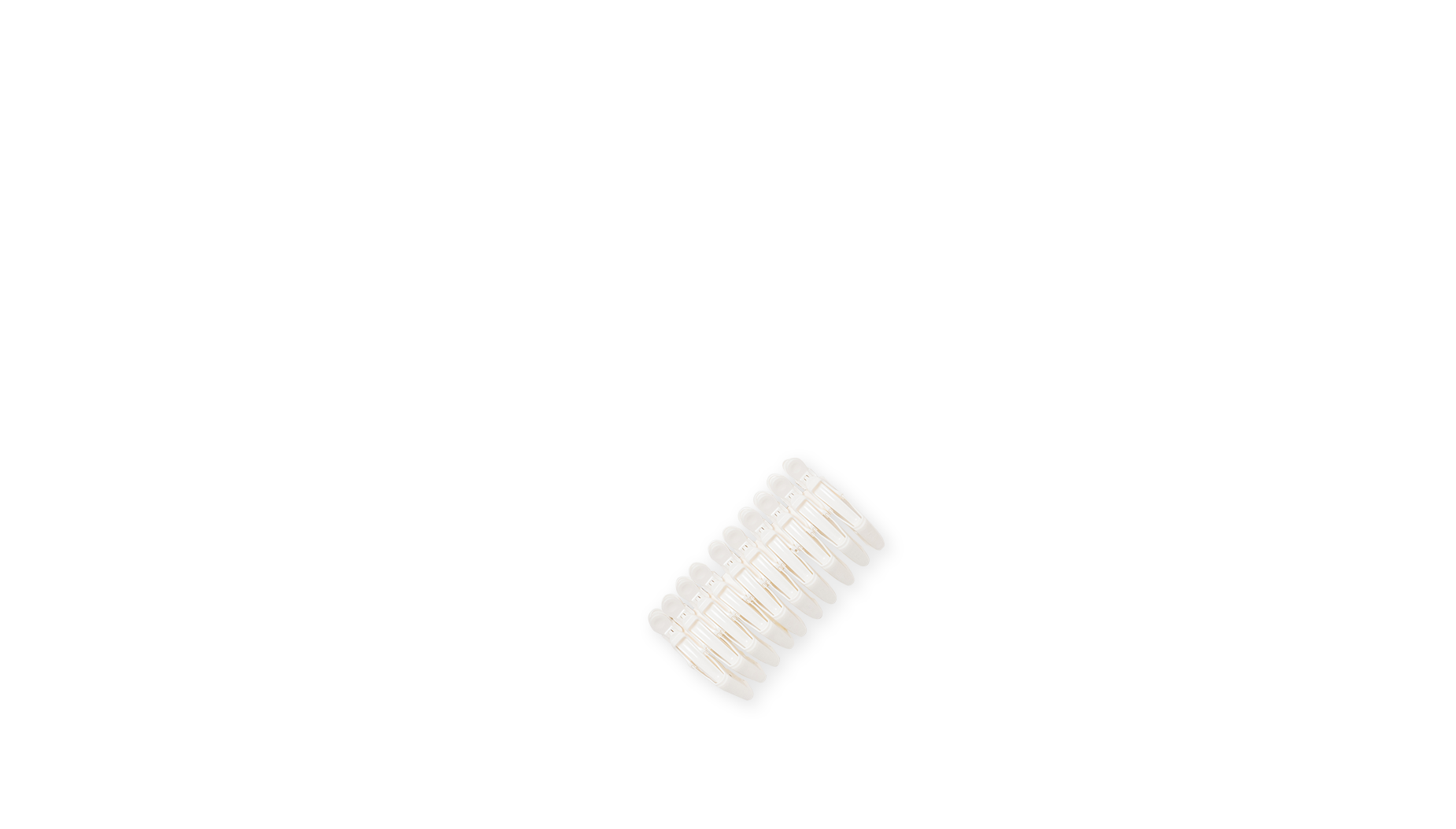 PACKAGING 
CUSTOMIZATION